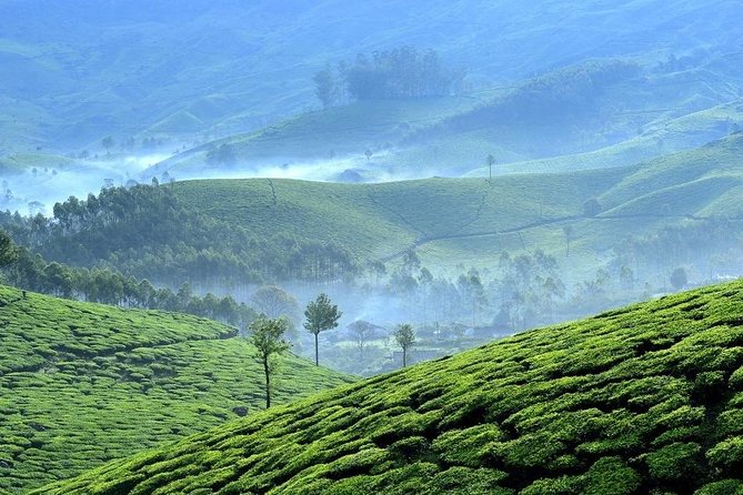 Munnar Cochin